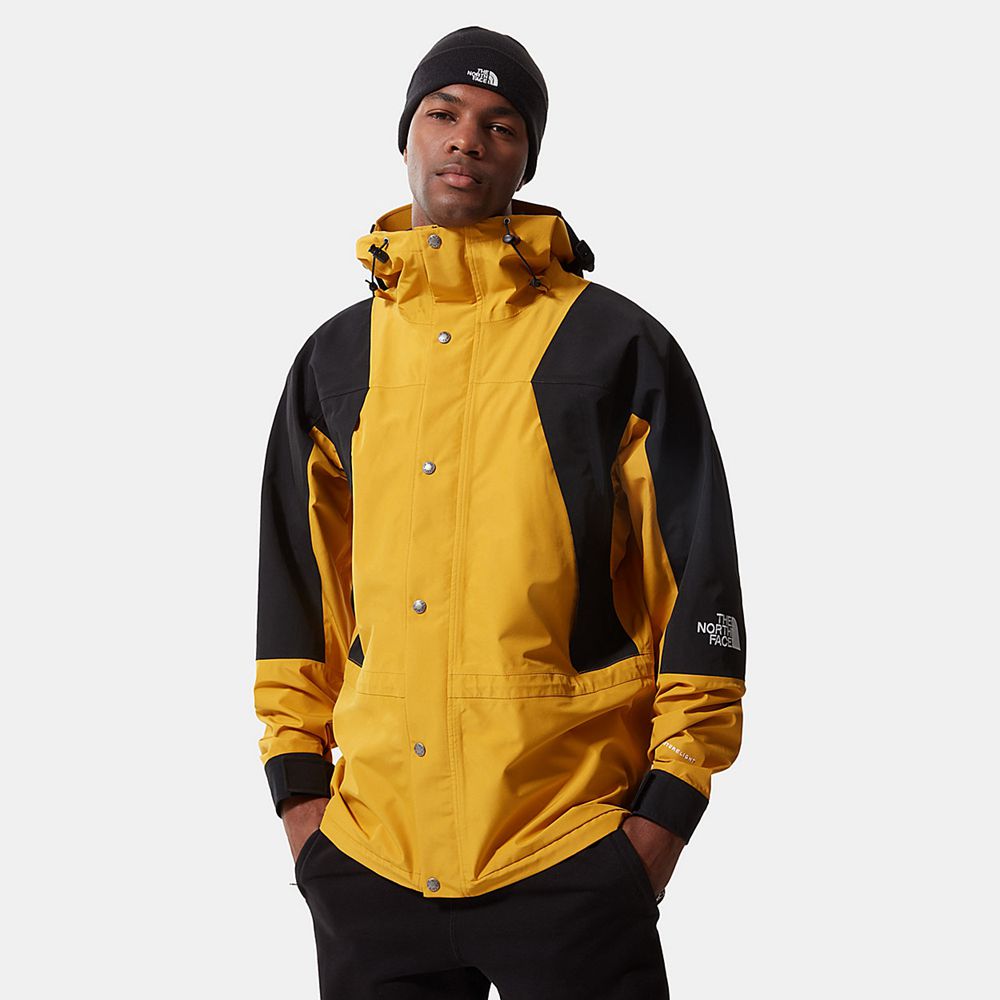 Campera gore tex hotsell north face